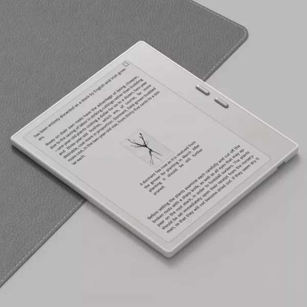 Електронна книга Onyx Boox Go 7 (White) (Standard)
