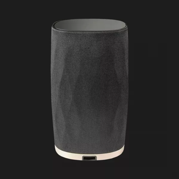 Бездротова акустика Bowers & Wilkins Formation Flex (Black)