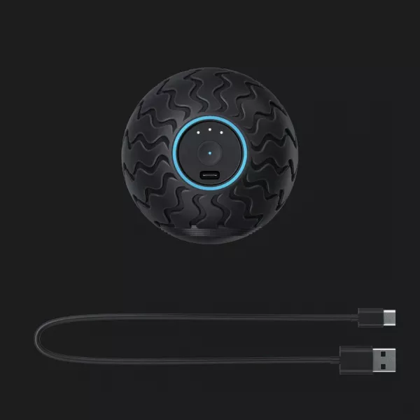 Вібруючий масажний м'яч Theragun Wave Solo (Black)