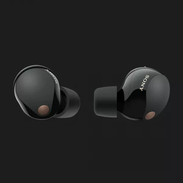 Навушники Sony WF-1000XM5 Wireless Noise Cancelling Headphones (Black)