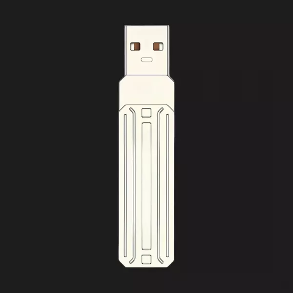 Флеш-накопичувач WIWU Flash Drive 256GB (FD001)