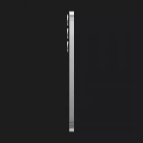 Samsung Galaxy S25+ 12/256GB (Silver Shadow) (S936) (Standard)