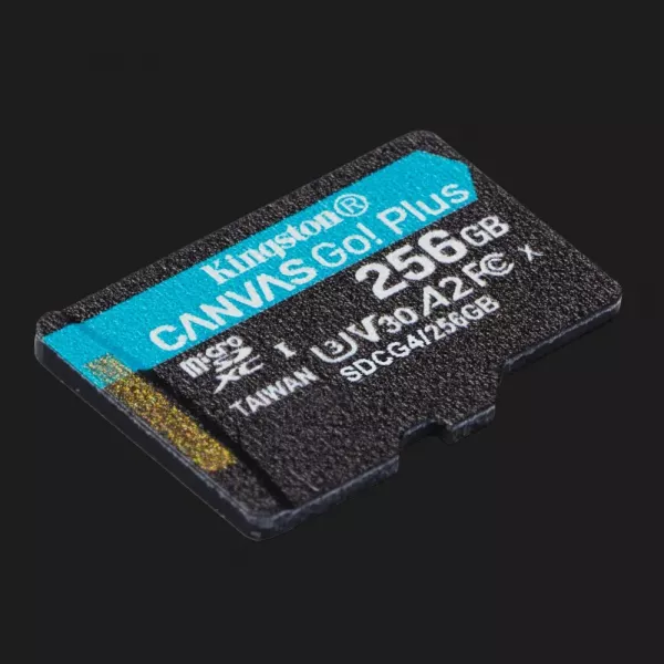 Карта пам'яті Kingston Canvas Go Plus 256GB (SDCG4/256GBSP)