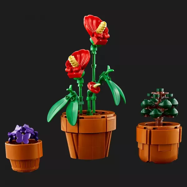 Конструктор LEGO Botanicals Мініатюрні рослини (10329)