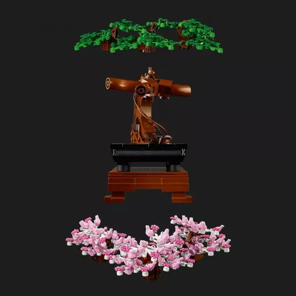 Конструктор LEGO Botanicals Дерево Бонсай (10281)