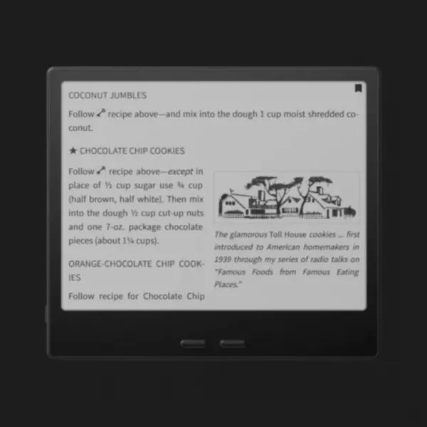 Електронна книга Onyx Boox Go 7 (Black) (Standard)